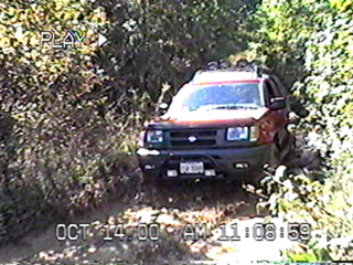 Powerline Allen01
