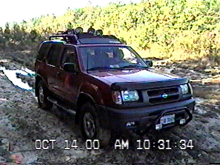 Powerline Allen06