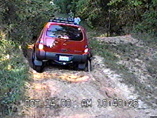 Powerline Allen07