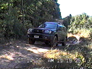 Powerline Ollie03