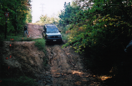 Powerline Ollie08