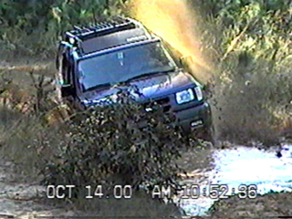 Powerline Stuck01