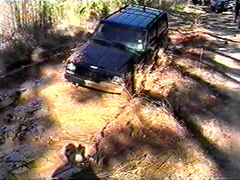 Robert Powerline 06