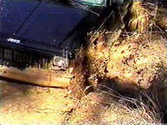 Robert Powerline 07