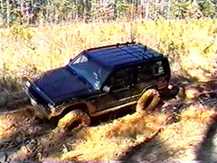 Robert Powerline 09