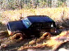 Robert Powerline 10