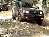 Uwharrie Rednec06