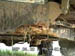 Dirty X Undercarriage03