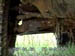 Dirty X Undercarriage04