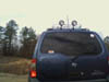 Lights - Rear2