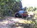 Powerline Allen04