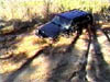Robert Powerline 05
