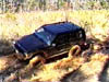 Robert Powerline 09