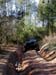 Roberts Jeep 04