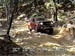 Uwharrie Allen07
